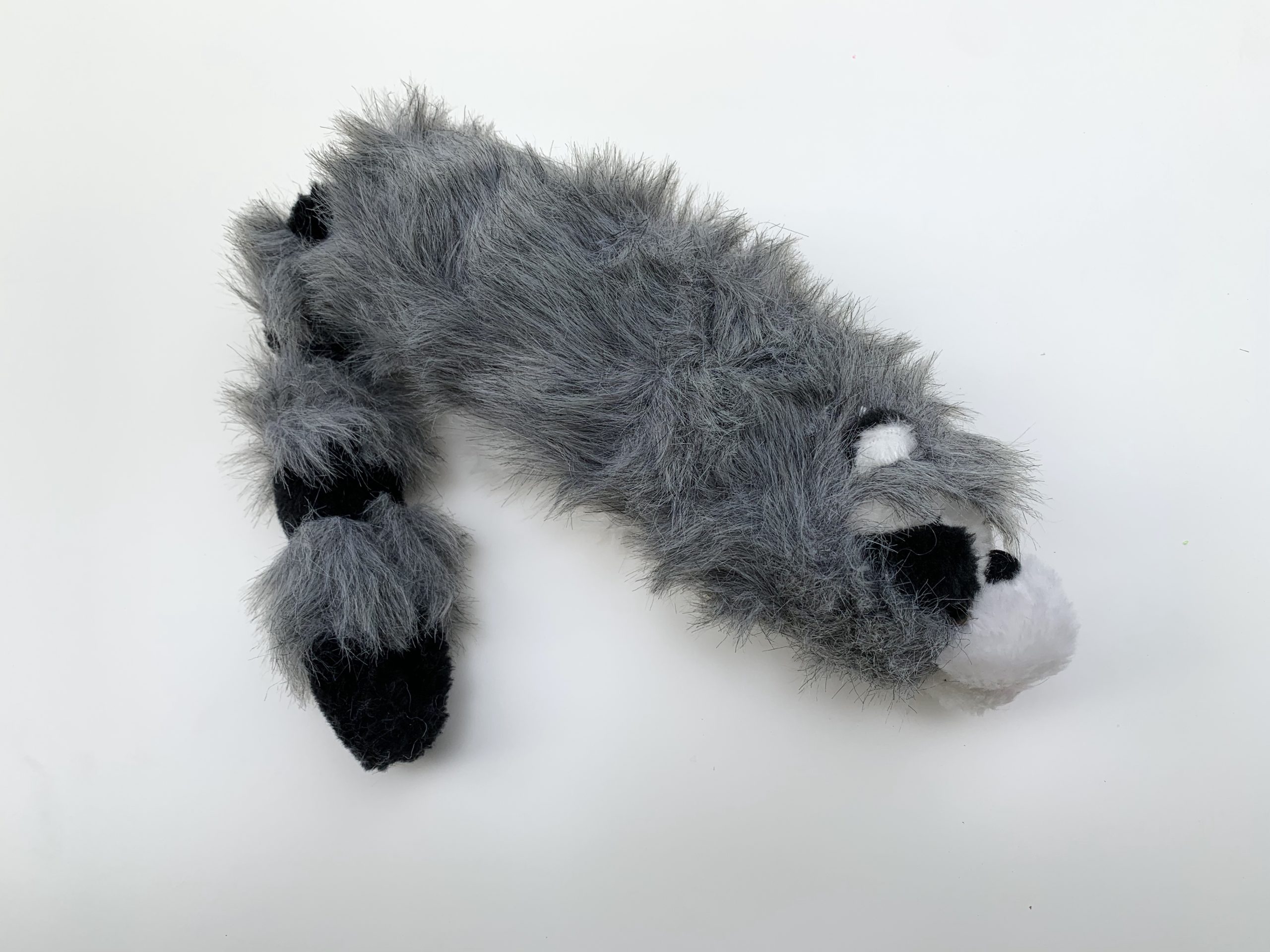 Spring Raccoon - Image 3