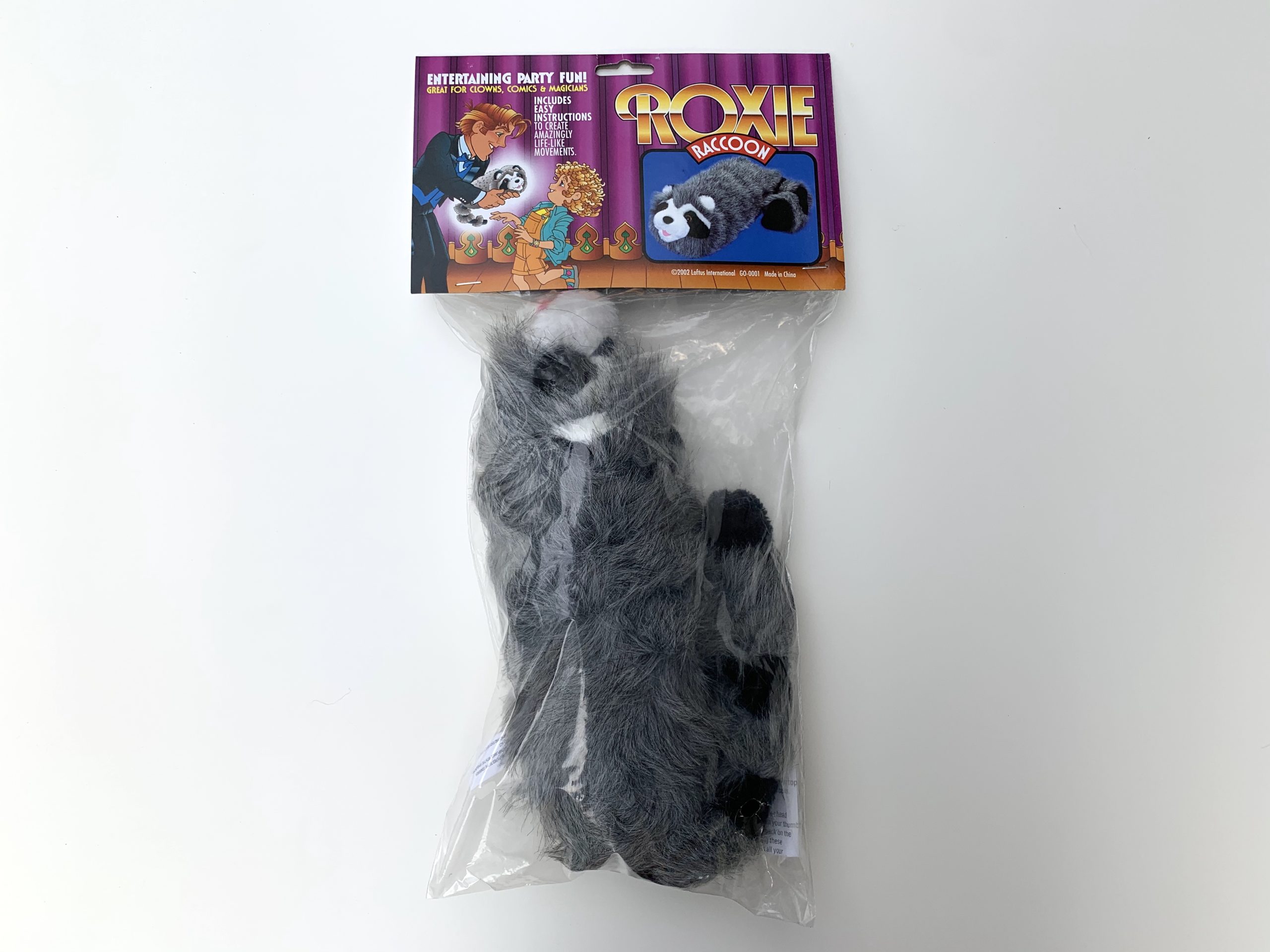 Spring Raccoon - Image 2